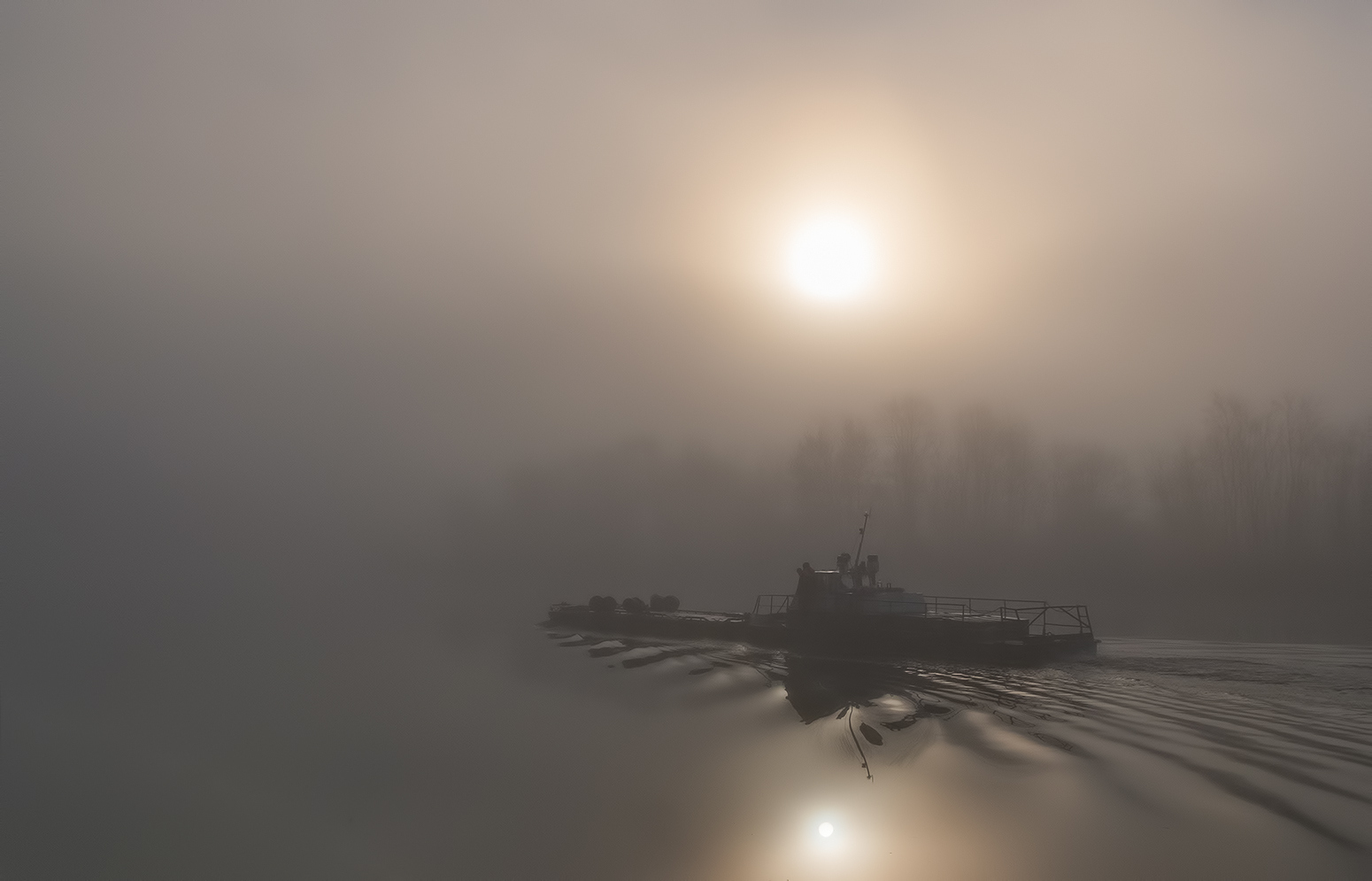 Уходящие в туман | foto.by фото.бай