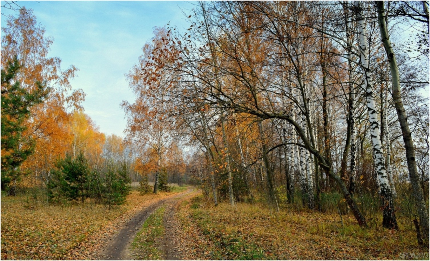 по дорогам осени 2 | Фотограф Игорь Сафонов | foto.by фото.бай