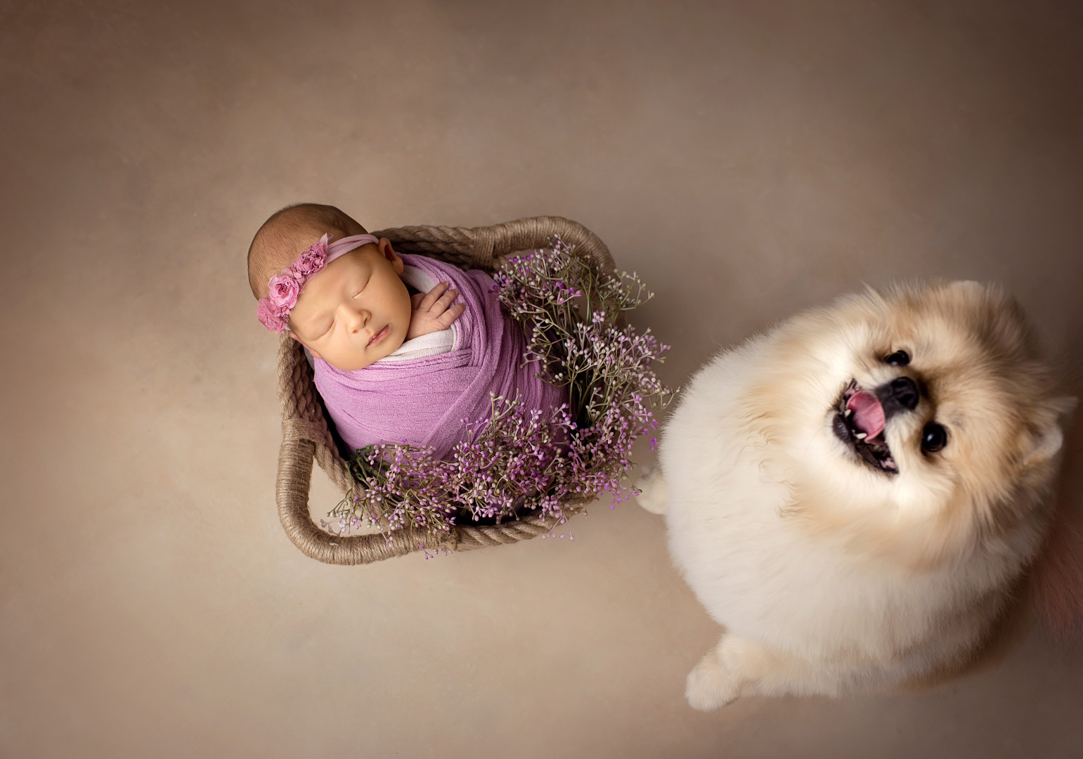 Фотограф Елена Прищепа - фотограф новорожденных в городе Слуцк, Минск, Старые Дороги, фотография от 02.11.2025
