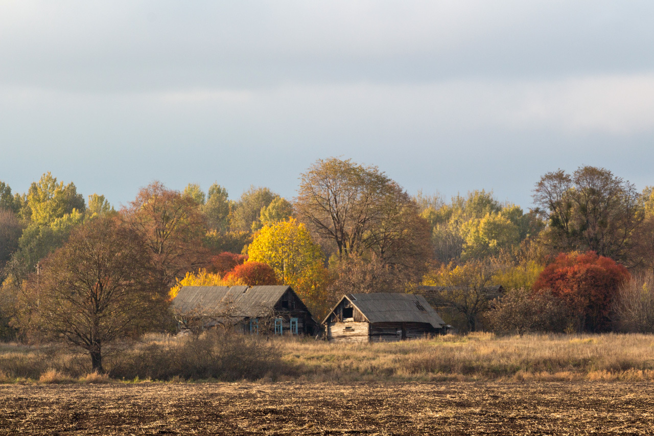 полесская осень... | Фотограф Олег Яскевич | foto.by фото.бай