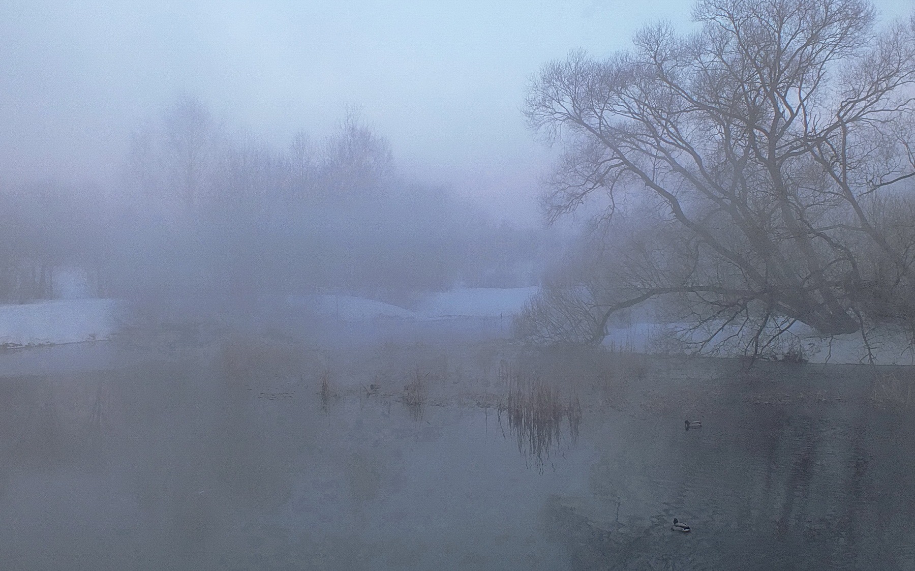 Утро туманное | Фотограф Валерий Козуб | foto.by фото.бай
