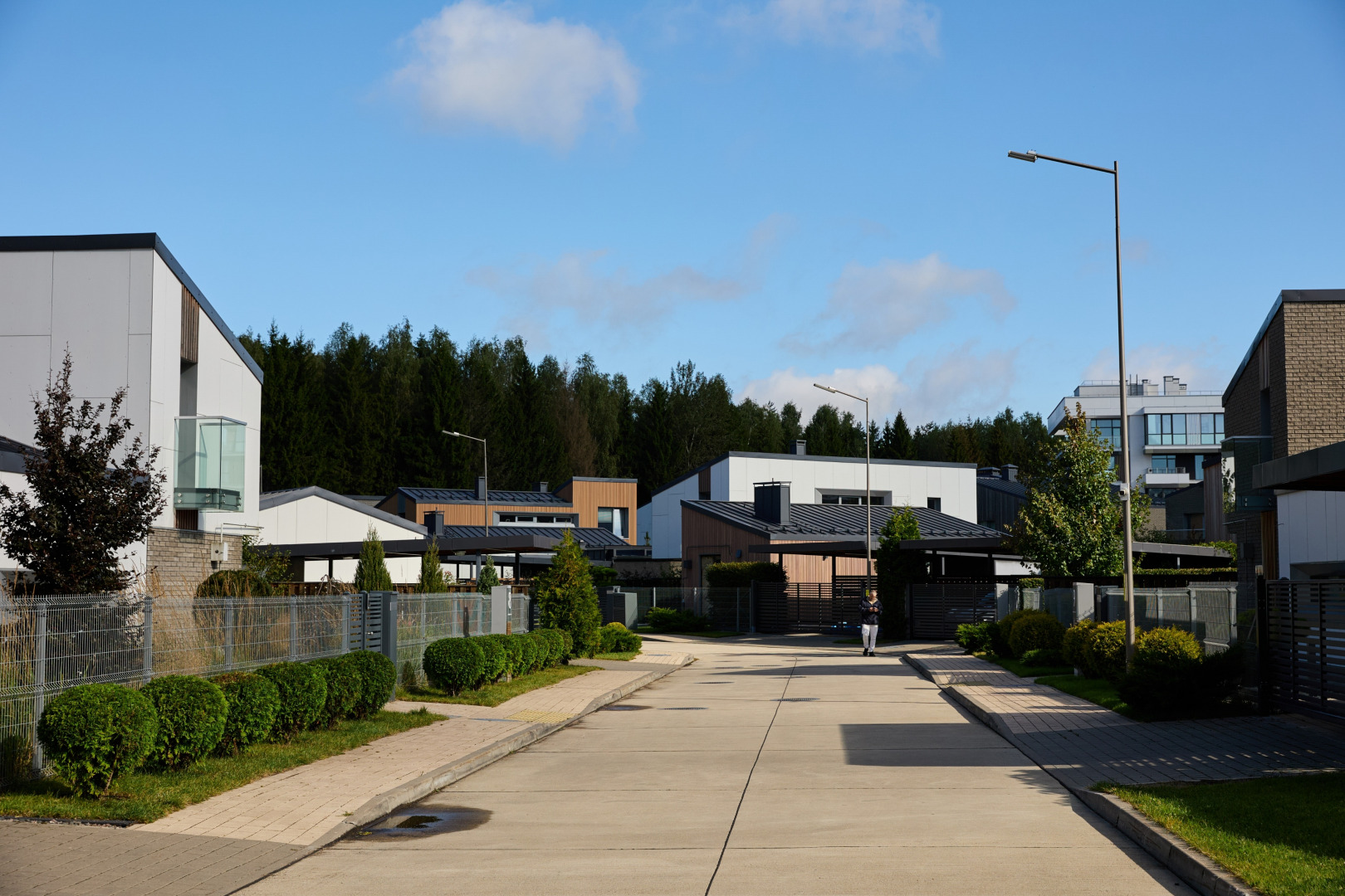 Фотограф Илья и Юлия Ширмановы, фотография от 17.12.2025