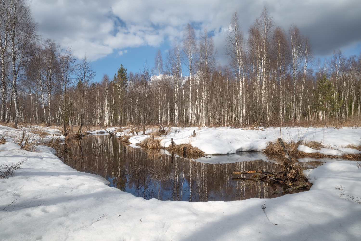 весна | Фотограф Виталий Полуэктов | foto.by фото.бай