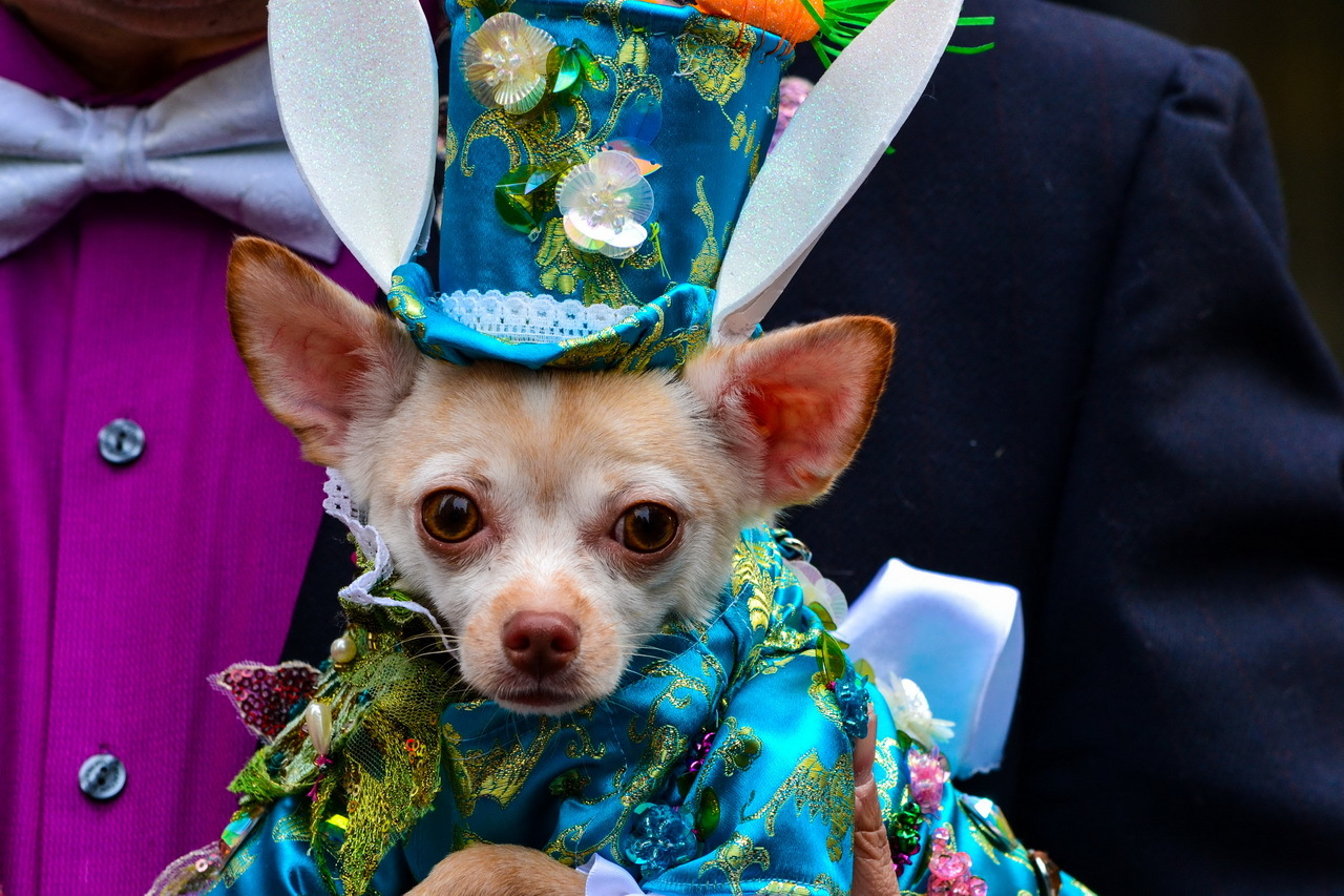 *** | foto.by фото.бай