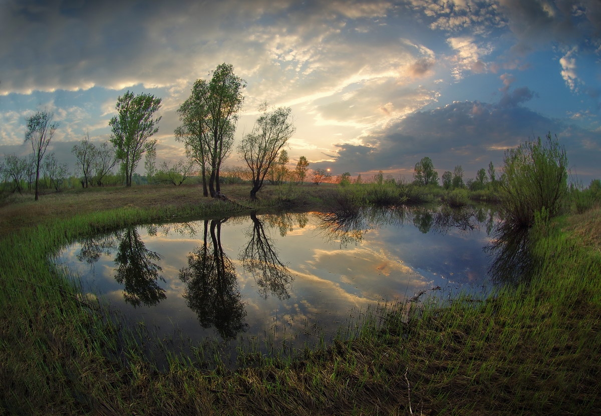 Весенний вечер | Фотограф Сергей Шляга | foto.by фото.бай