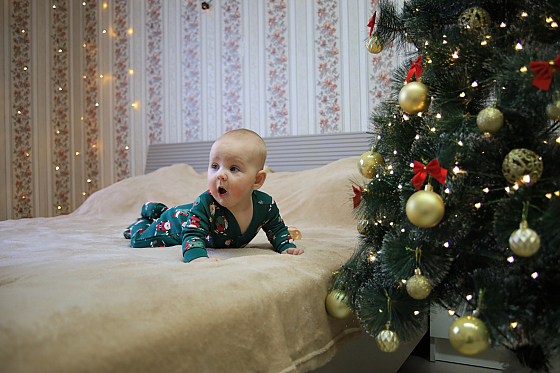 Фотограф Алексей Климков, фотография добавлена 25.12.2025