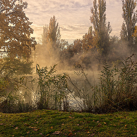 Осенним утром | Фотограф Александр Плеханов | foto.by фото.бай