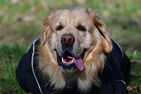 Leron.. | Фотограф Ihar Karneichuk | foto.by фото.бай