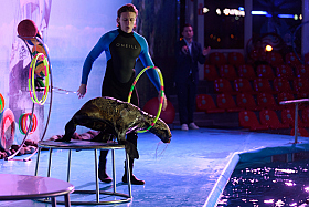 Работа фотографа Сергей Тарасов