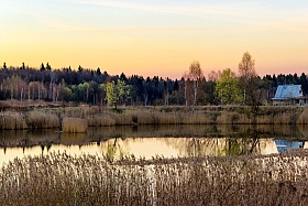 Мороськи на закате | Фотограф Tatsiana Latushko | foto.by фото.бай