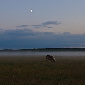 фотограф Андрей Нищук. Фотография "... в тумане"