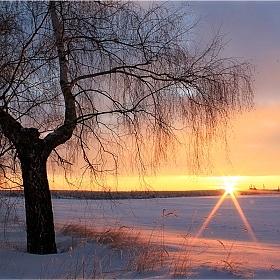 фотограф Александр Войтко. Фотография "Зимним вечером"