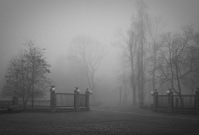Февральское утро #2 | Фотограф Андрей Бубнович | foto.by фото.бай