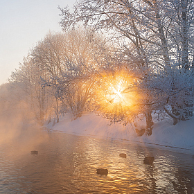 Марозны ранак на рацэ Свіслач | Фотограф Александр Тарасевич | foto.by фото.бай