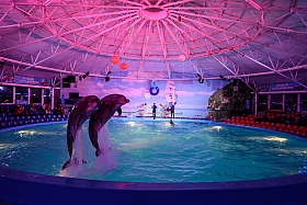 Работа фотографа Сергей Тарасов