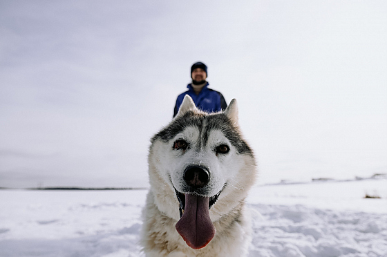 Фотограф Дмитрий Гусалов, фотография добавлена 18.02.2026