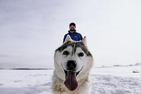Работа фотографа Дмитрий Гусалов