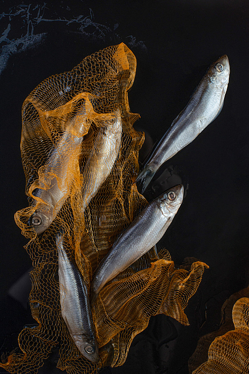 Надежда Кулик - фотограф в городе Минск, фотография добавлена 11.11.2025