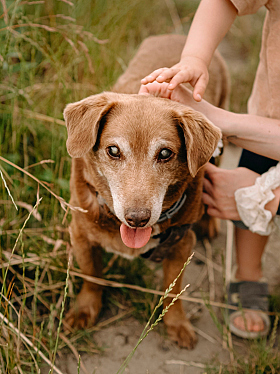 Работа фотографа Мария Войтик