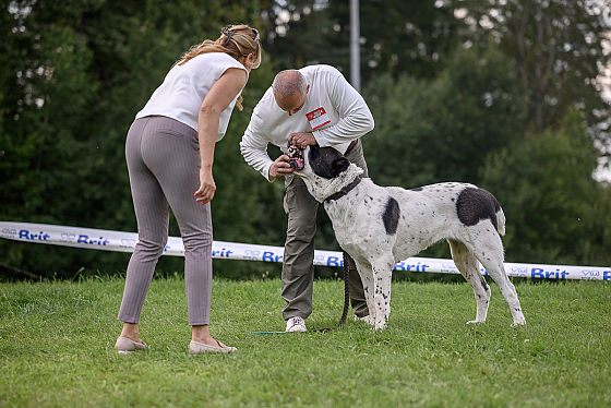 Фотограф Сергей Клеменок, фотография добавлена 17.02.2026