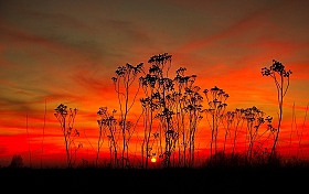 закатное | Фотограф Alexandr Chikiliou | foto.by фото.бай