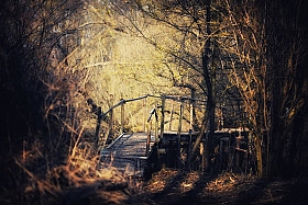 У заброшенного моста | Фотограф Юлия Войнич | foto.by фото.бай