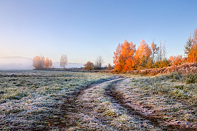 Осенние заморозки | Фотограф Сергей Шабуневич | foto.by фото.бай