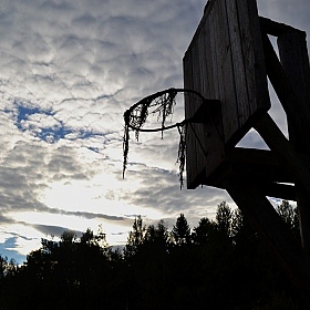 фотограф Виктория Герман. Фотография "баскетбол"