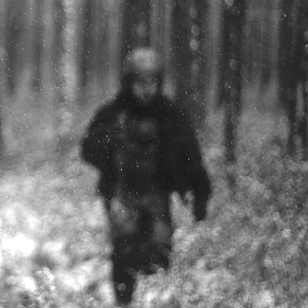 фотограф иГнат уГлов. Фотография "....снег в лесу , первый"
