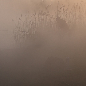 фотограф Алексей Рыльский. Фотография "Ловец тумана"