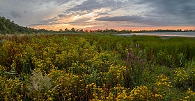 О теплом вечере и красках трав | Фотограф Александр Плеханов | foto.by фото.бай