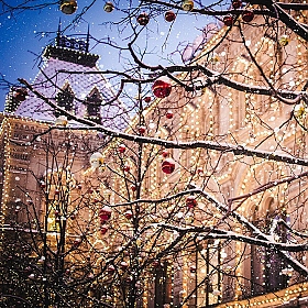 Рождество. | Фотограф Александр Савицкий | foto.by фото.бай