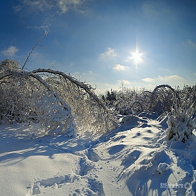фотограф Стас Аврамчик. Фотография "Поклон зиме"