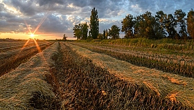 Осень | Фотограф Александр Плеханов | foto.by фото.бай