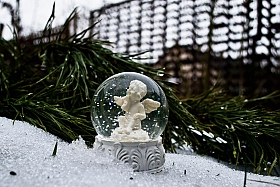 Почему зима уходит в январе?.. | Фотограф Юлия Кранина | foto.by фото.бай