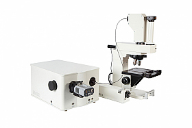 Работа фотографа Анастасия Комок