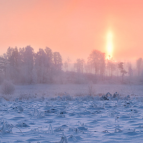 Зима и рассвет | Фотограф Сергей Шабуневич | foto.by фото.бай