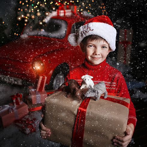 Олег Цыганок - фотограф, фотография добавлена 16.07.2020