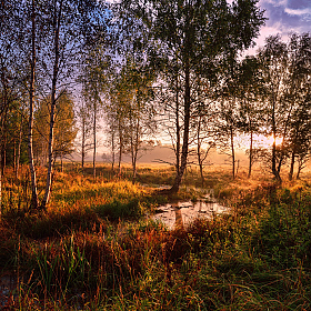 сентябрьское утро | Фотограф Виталий Полуэктов | foto.by фото.бай