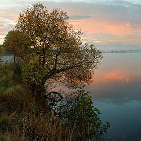 фотограф Владимир Ковалёв. Фотография "Утро"