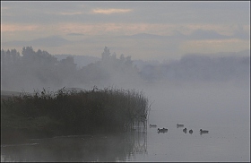 Предрассветный туман | Фотограф Александр Задёрко | foto.by фото.бай