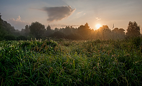 Ранним летним утром | Фотограф Александр Шатохин | foto.by фото.бай