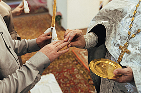 Работа фотографа Дмитрий Гусалов