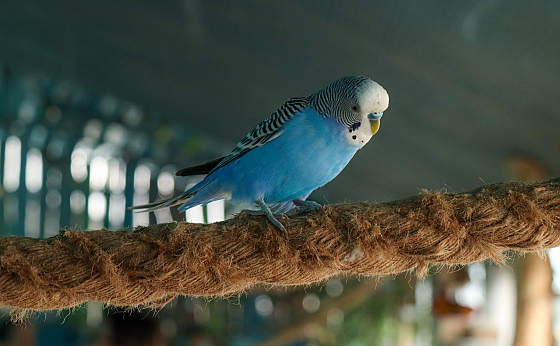 Фотограф Алексей Климков, фотография добавлена 06.11.2025