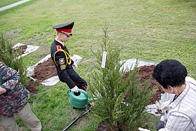 Работа фотографа Сергей Тарасов