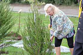 Работа фотографа Сергей Тарасов