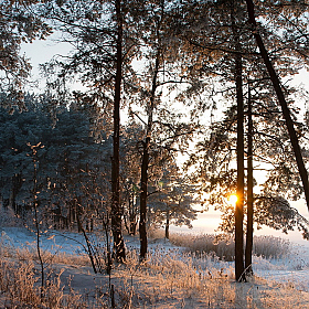Зимний закат | Фотограф Геннадий Ignashevich | foto.by фото.бай