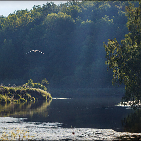 У реки | Фотограф Сергей Шабуневич | foto.by фото.бай