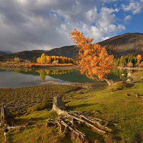 Теплый вечер | Фотограф Ольга Максимова | foto.by фото.бай