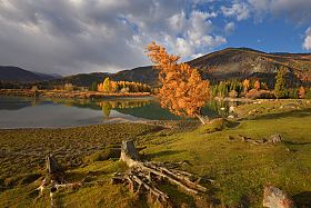 Теплый вечер | Фотограф Ольга Максимова | foto.by фото.бай